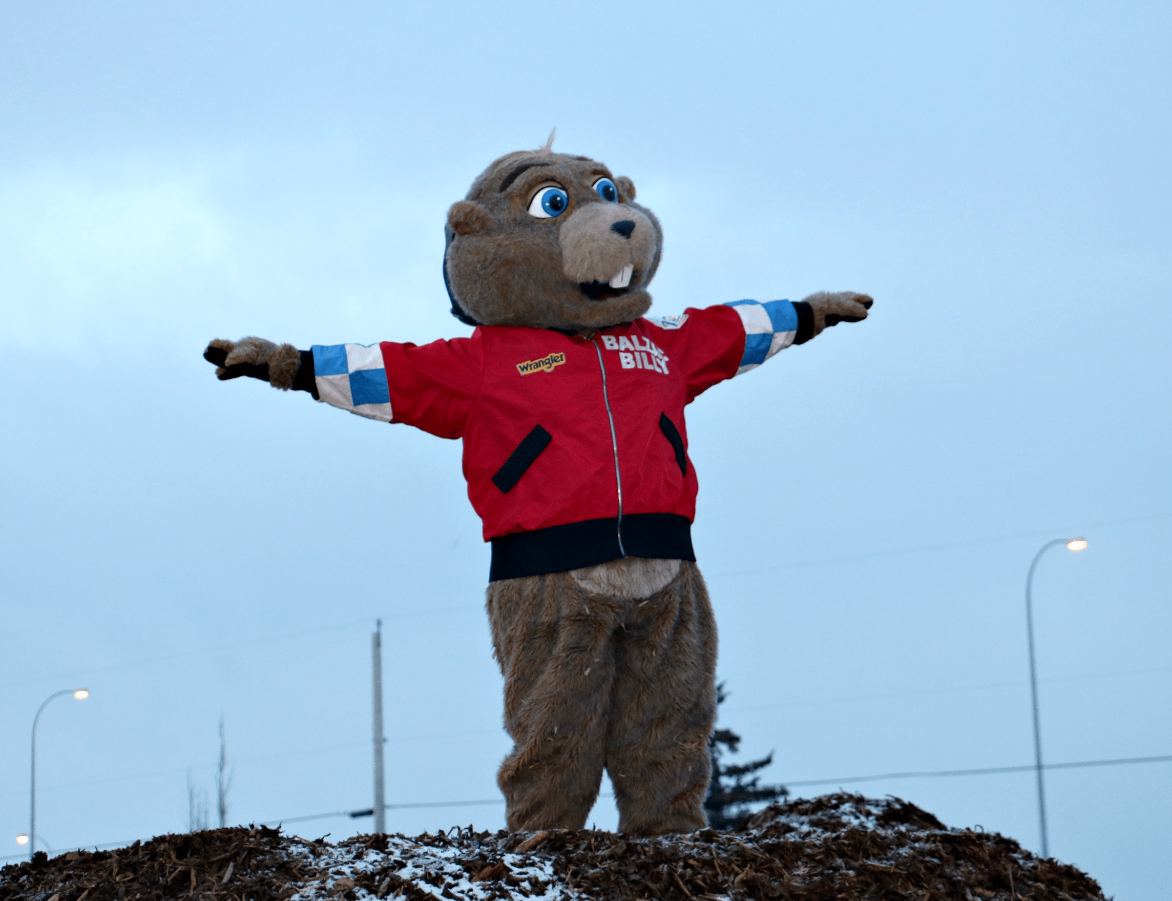 Balzac Billy