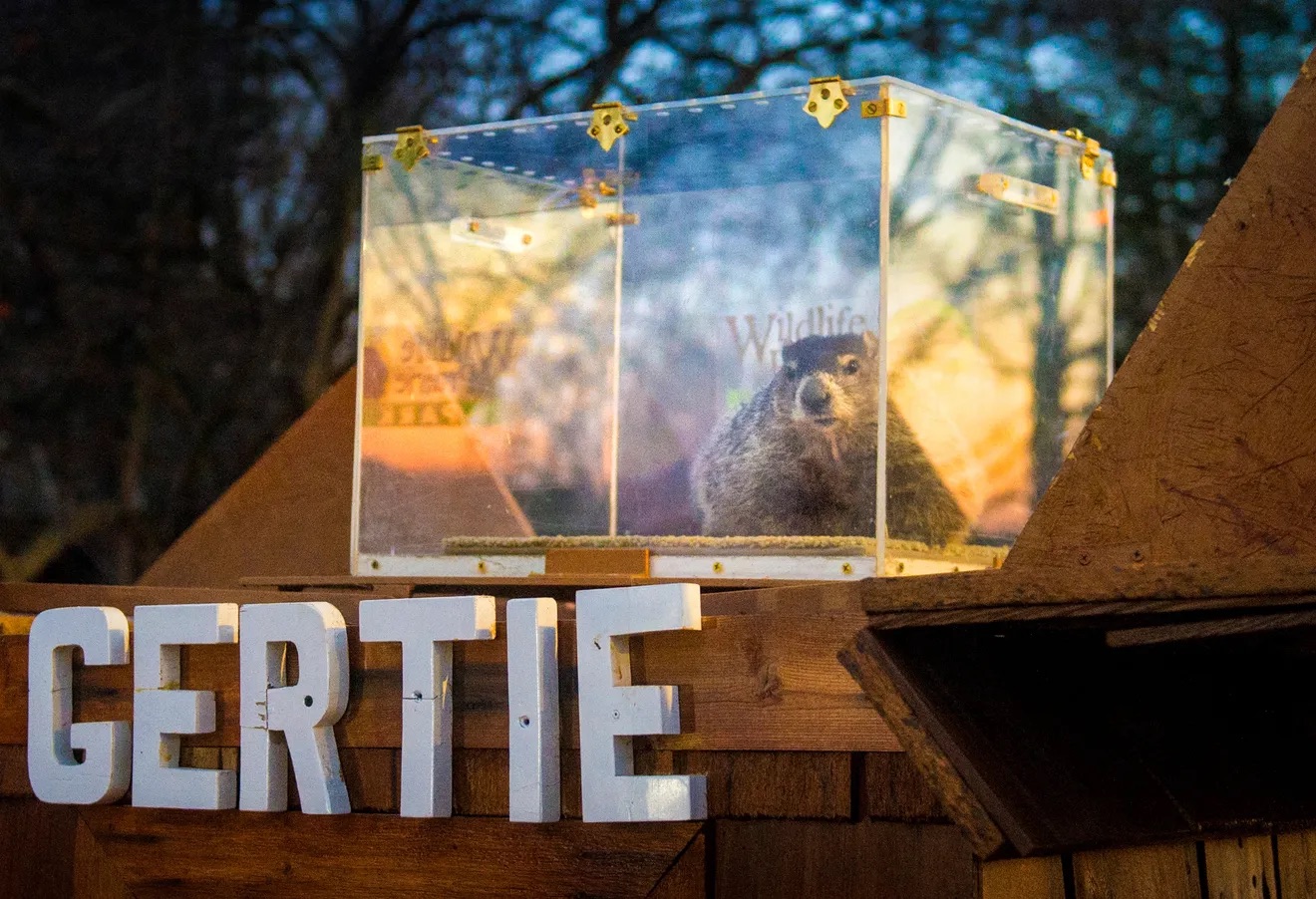 Gertie the Groundhog