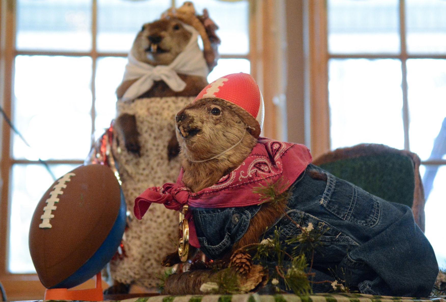 Grover and Sue
