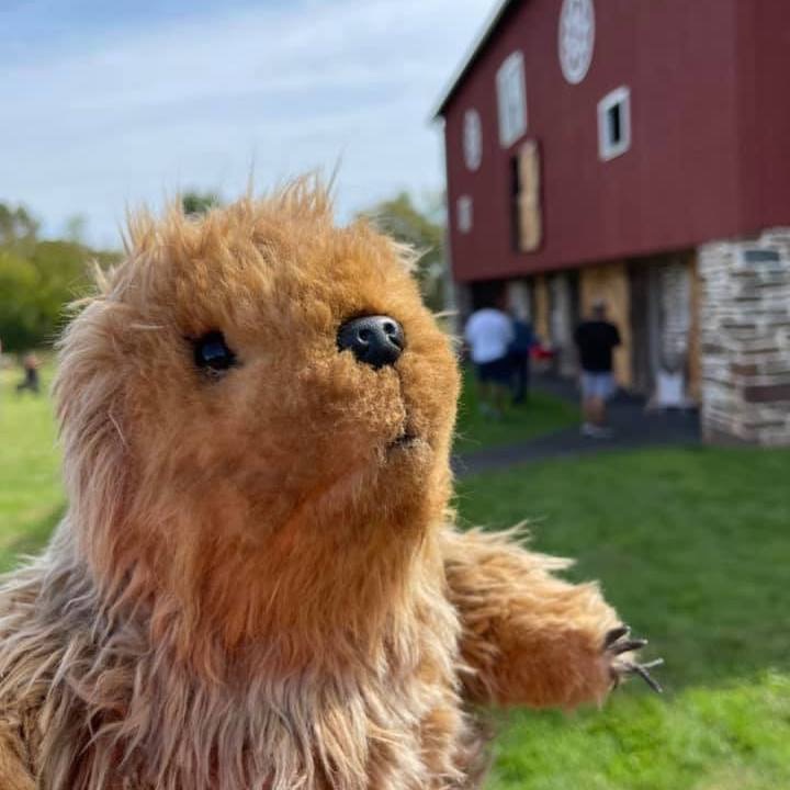 Harleysville Hank