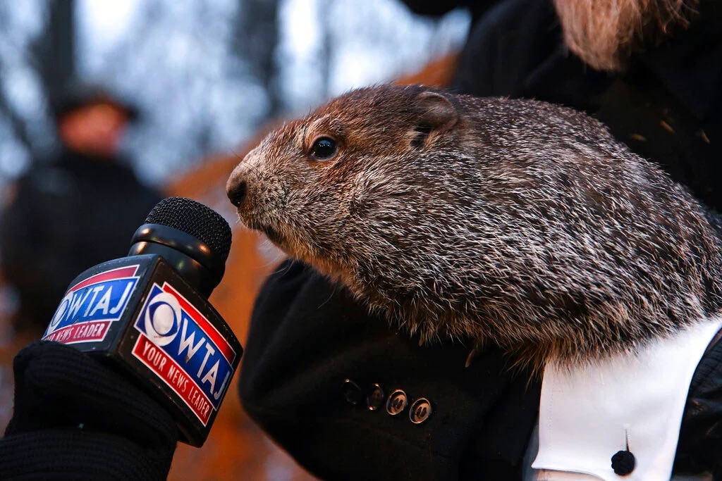 Punxsutawney Phil