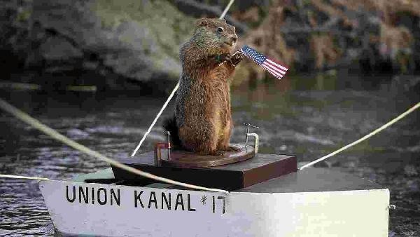 Uni the Groundhog