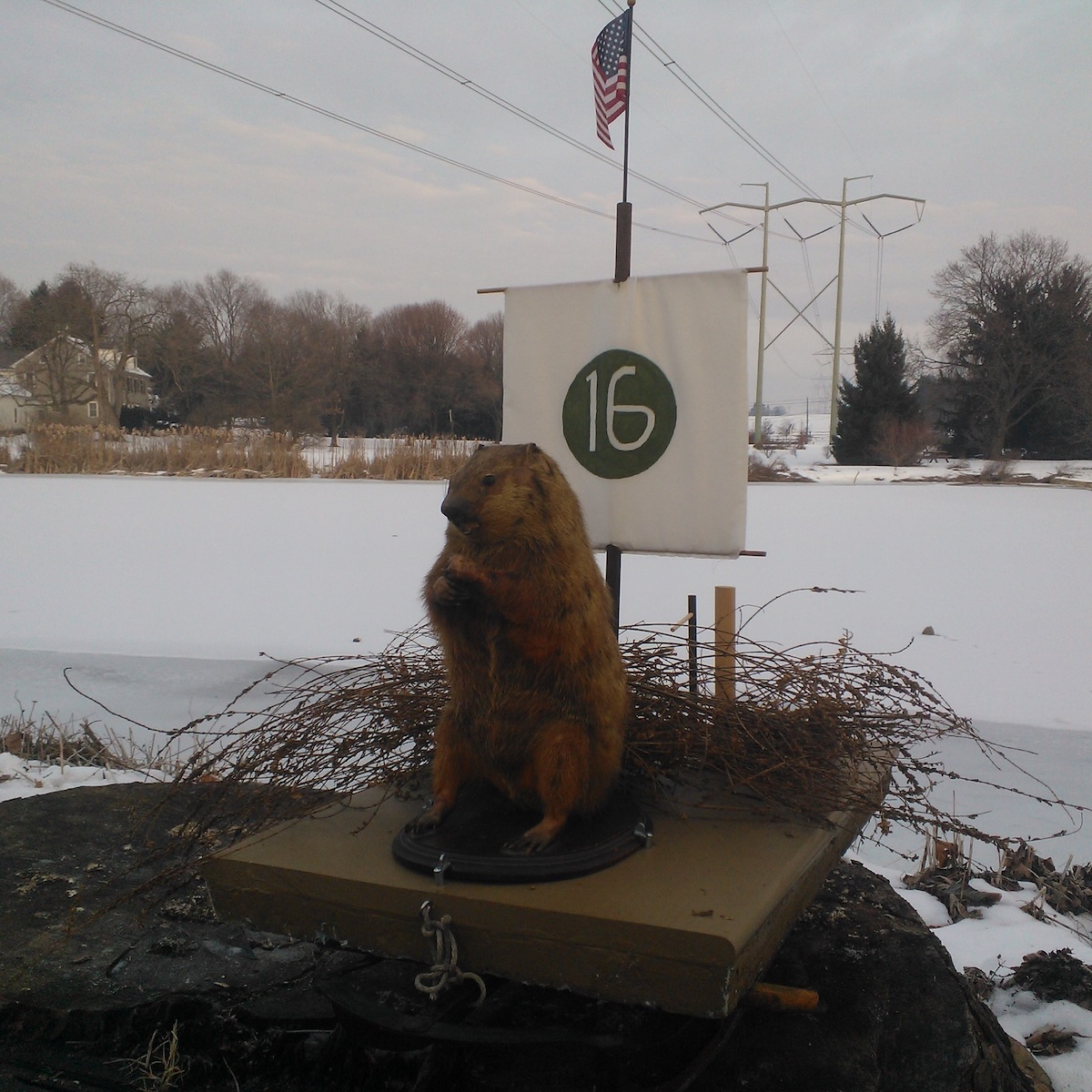 Yahdee the Groundhog